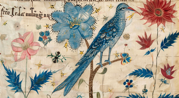 Midjourney AI illustration Voynich manuscript bird plants ok