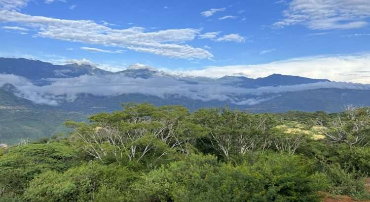 Finca Milagros view