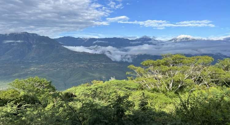 Finca Milagros view