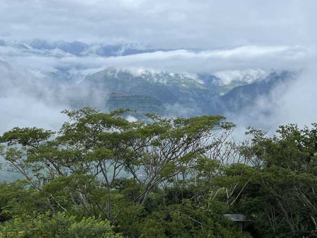 Finca Milagros view