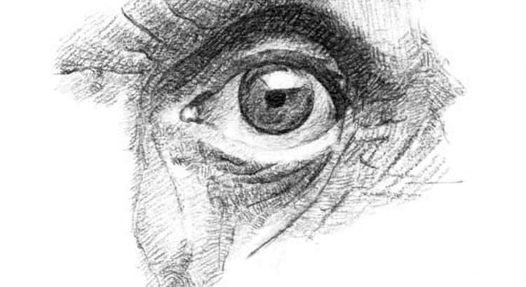 own drawing - eye